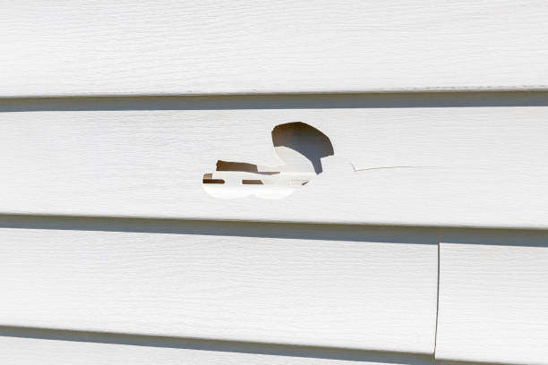 Reliable Cameron, TX Siding Installation & Repair Solutions